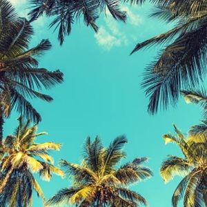 Meet your Posher, Rea